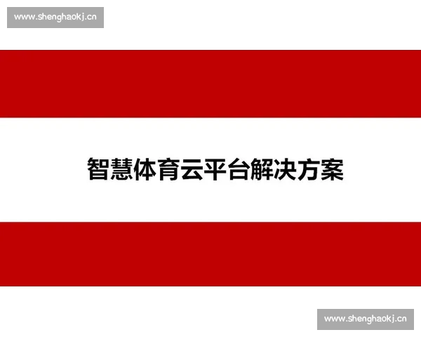 体育平台安全版全面升级打造可信合规稳定的数字体育服务生态